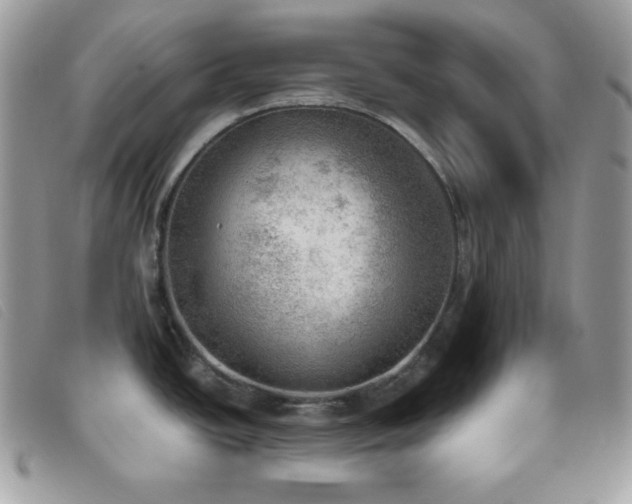 X0000095891438200801111146