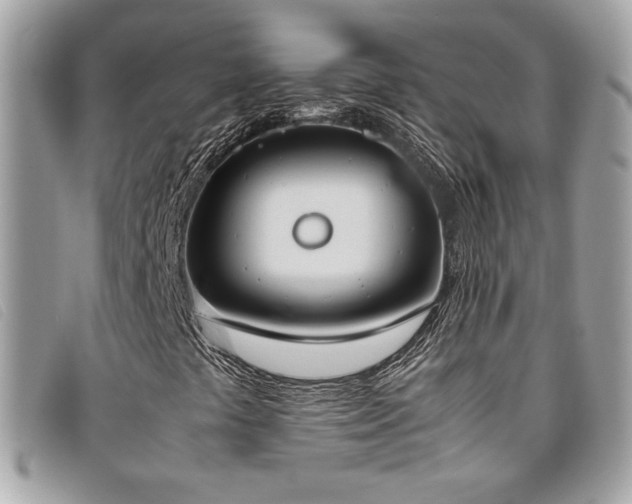 X0000095891441200801111145
