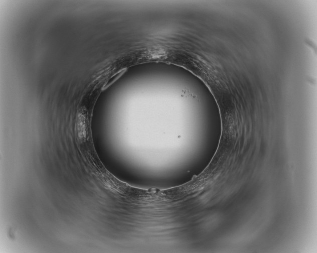 X0000095891442200801111145