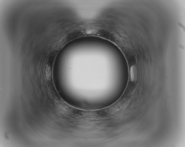 X0000095891443200801111145