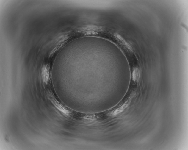 X0000095891444200801111145