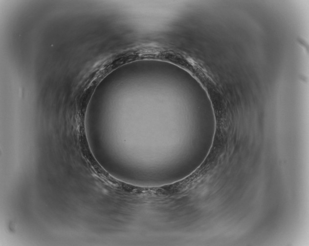 X0000095891445200801111145