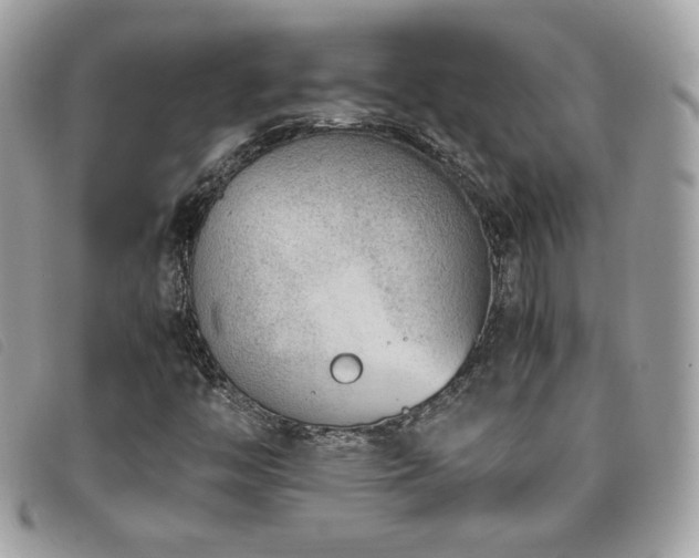 X0000095891446200801111145