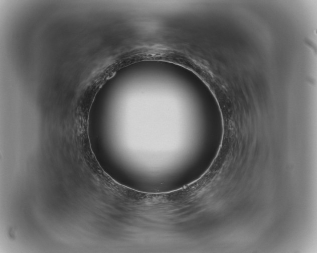 X0000095891447200801111145