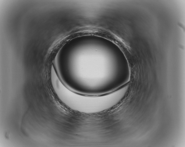X0000095891448200801111145