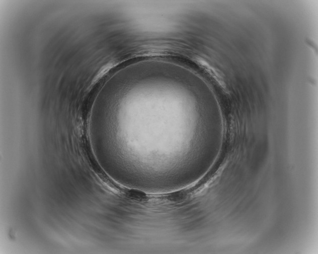 X0000095891449200801111145