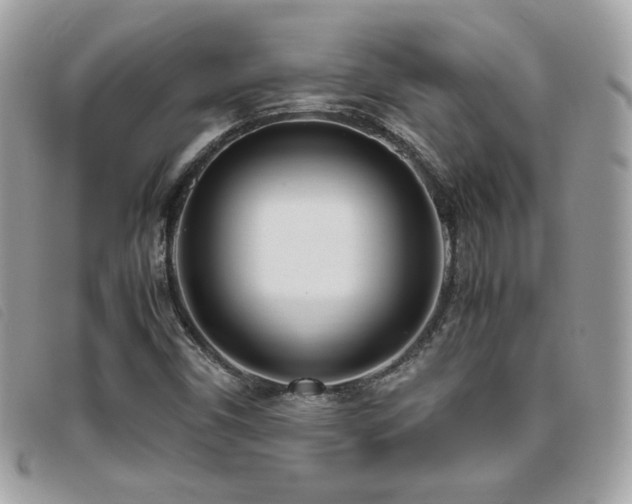 X0000095891450200801111145