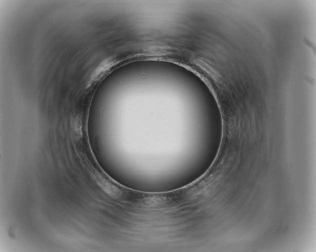 X0000095891451200801111145