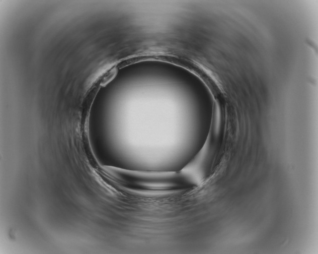 X0000095891452200801111145