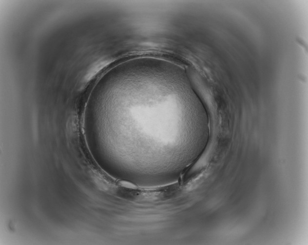 X0000095891453200801111145