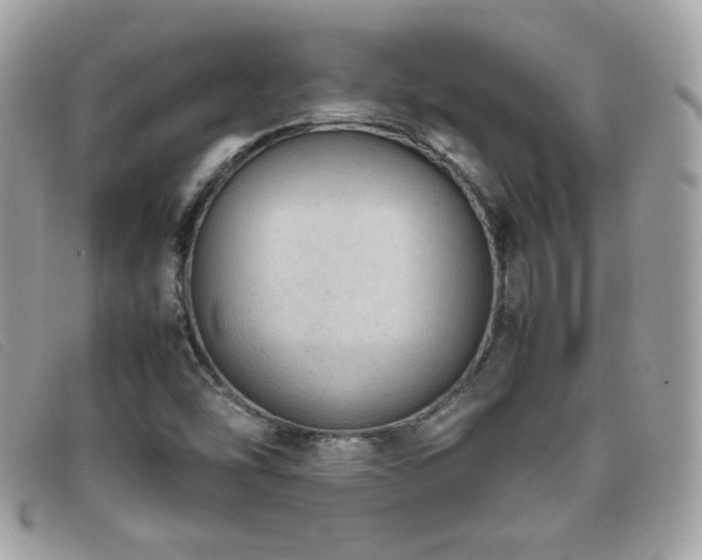 X0000095891454200801111145
