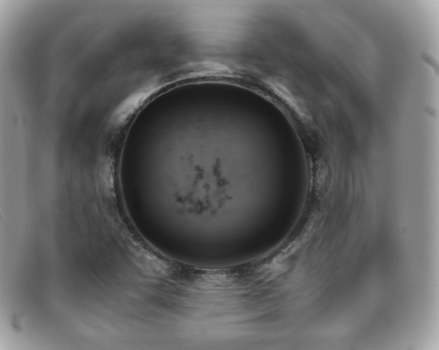 X0000095891455200801111145
