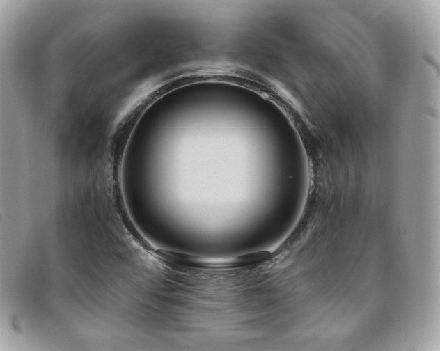 X0000095891456200801111145