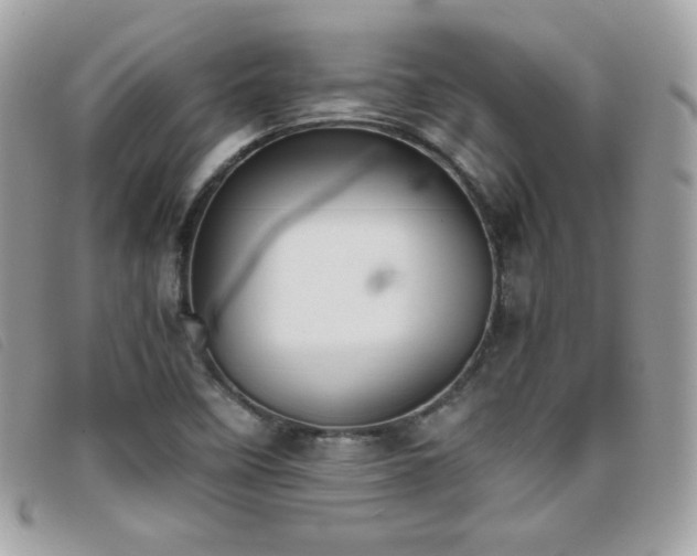 X0000095891458200801111145