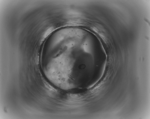 X0000095891459200801111145