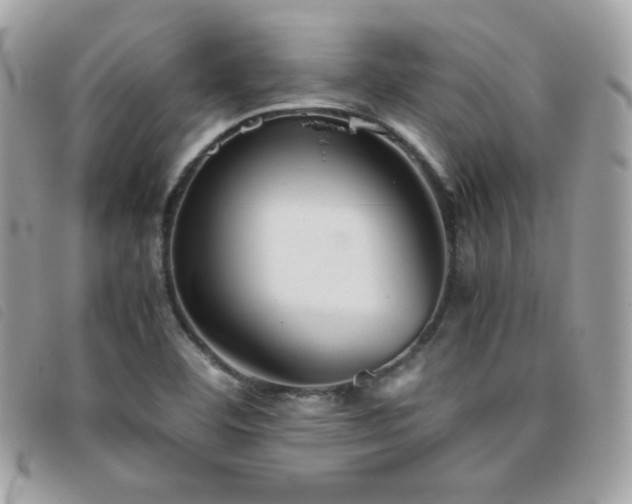 X0000095891460200801111145