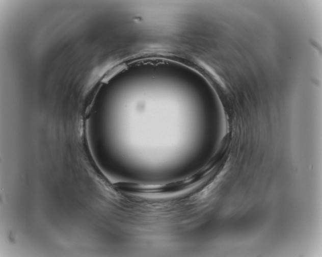 X0000095891461200801111145