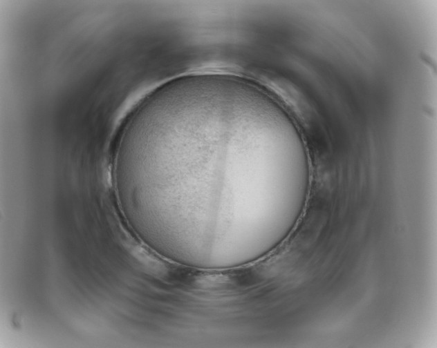 X0000095891462200801111145