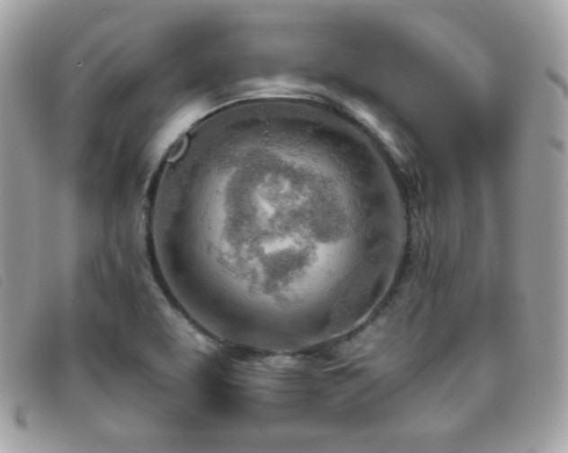 X0000095891463200801111145