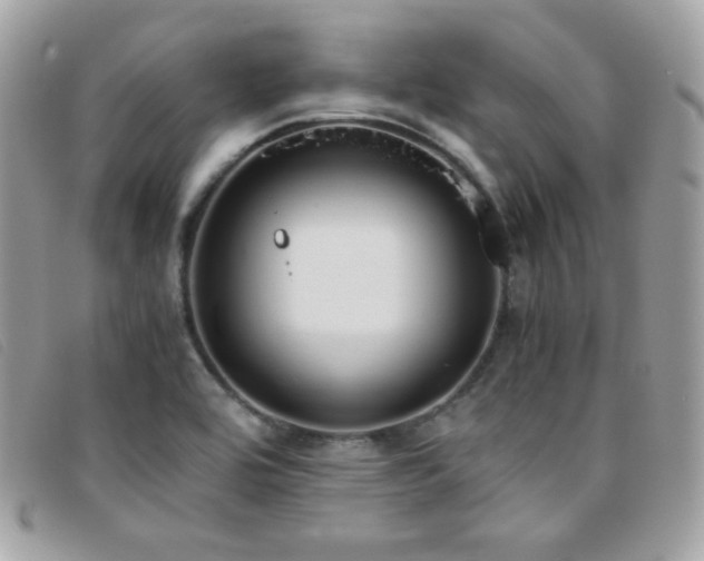 X0000095891464200801111145
