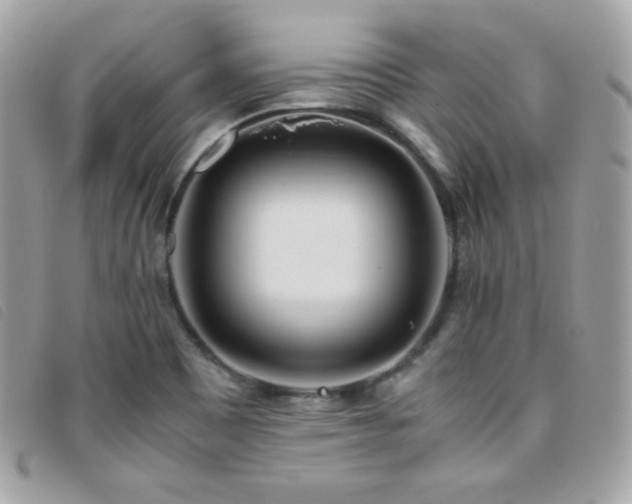 X0000095891465200801111145