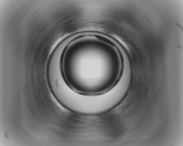 X0000095891468200801111145