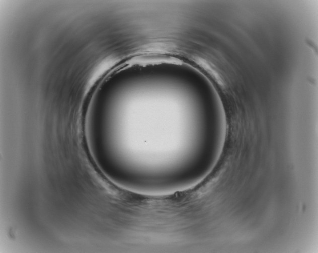 X0000095891469200801111145