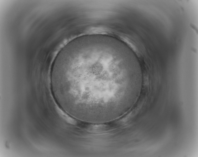 X0000095891471200801111144