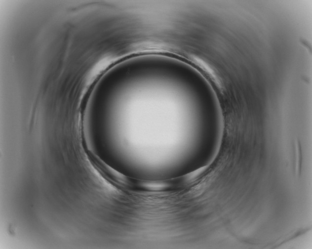 X0000095891472200801111144