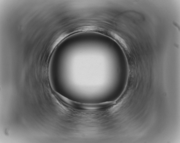 X0000095891473200801111144