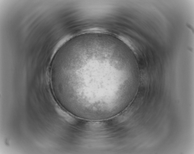 X0000095891474200801111144