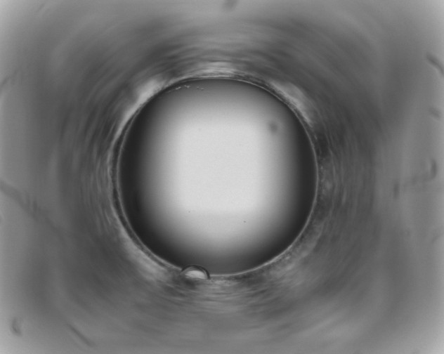 X0000095891475200801111144