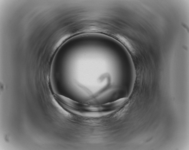 X0000095891476200801111144