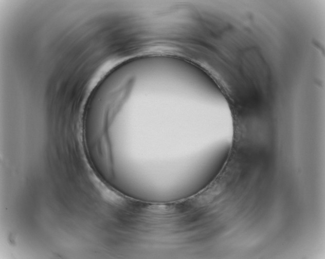 X0000095891478200801111144