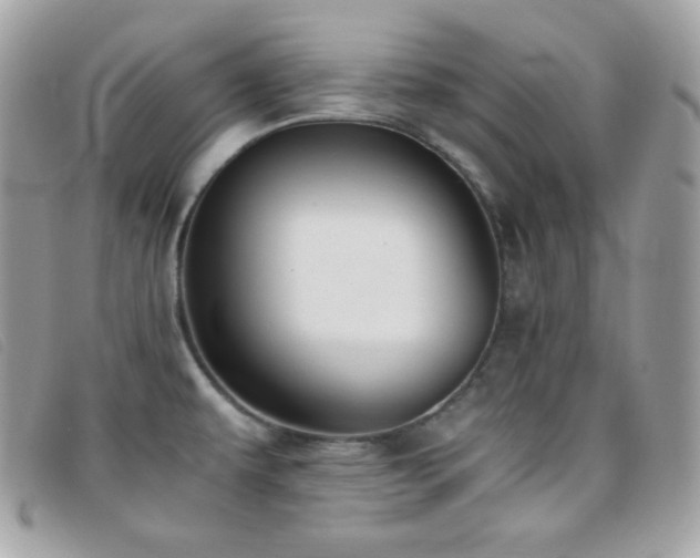 X0000095891479200801111144