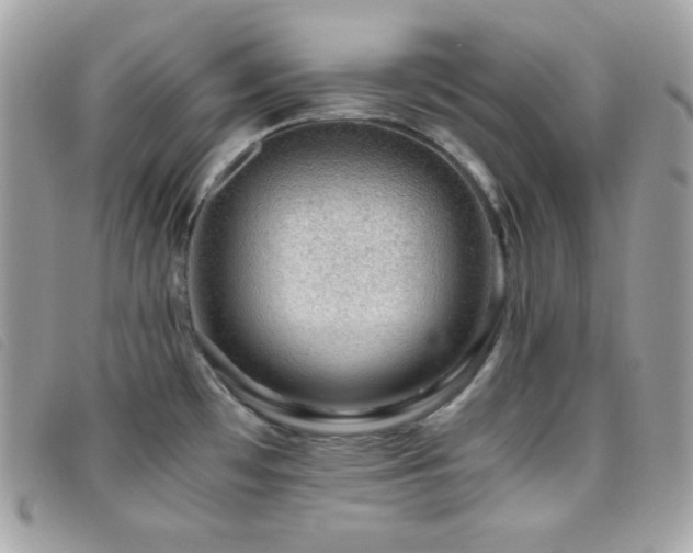 X0000095891481200801111144
