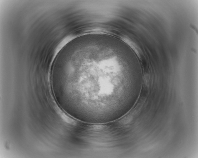 X0000095891482200801111144
