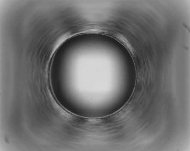 X0000095891483200801111144