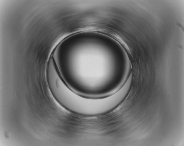 X0000095891484200801111144