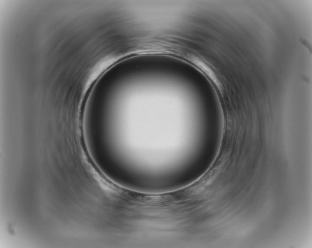 X0000095891485200801111144