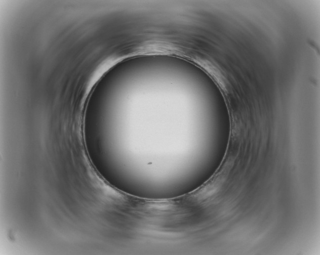 X0000095891486200801111144