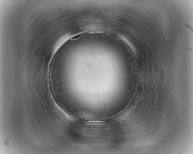 X0000095891487200801111144