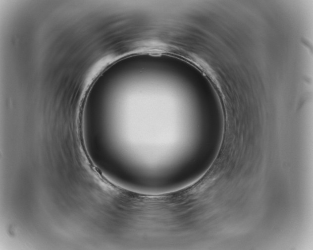 X0000095891488200801111144