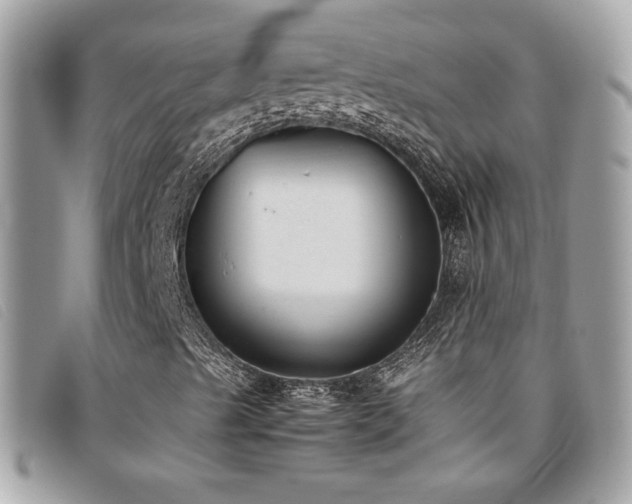 X0000095891489200801111143