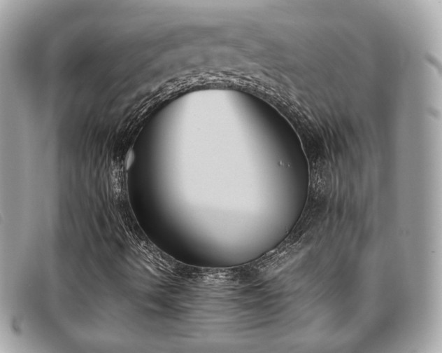 X0000095891490200801111143