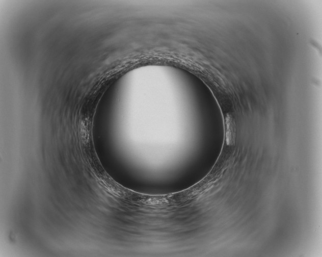 X0000095891491200801111143