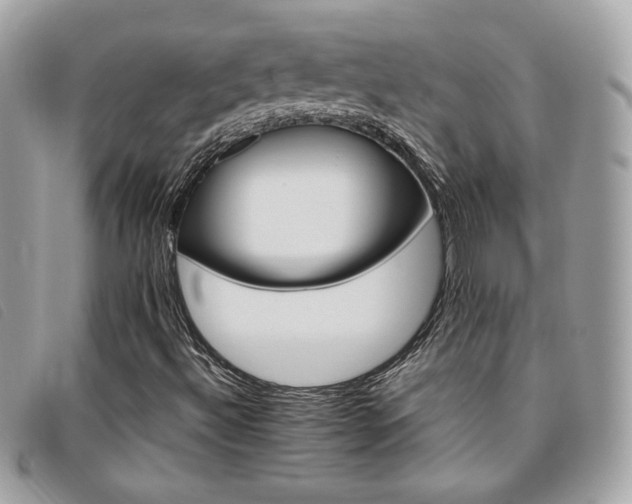 X0000095891492200801111143