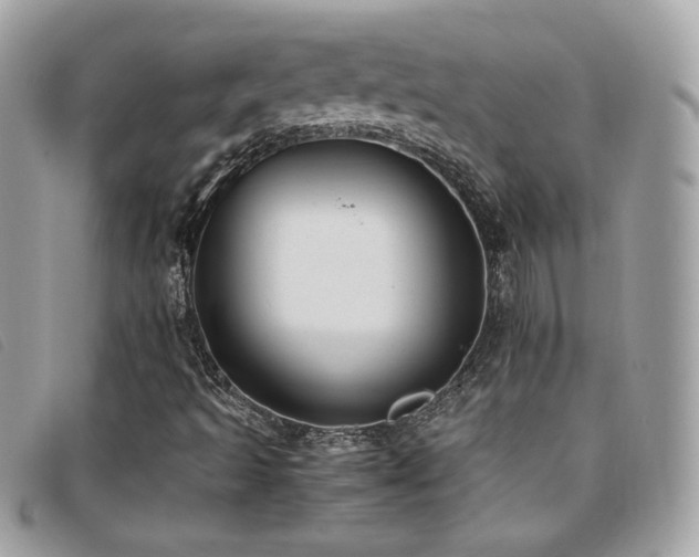 X0000095891493200801111143
