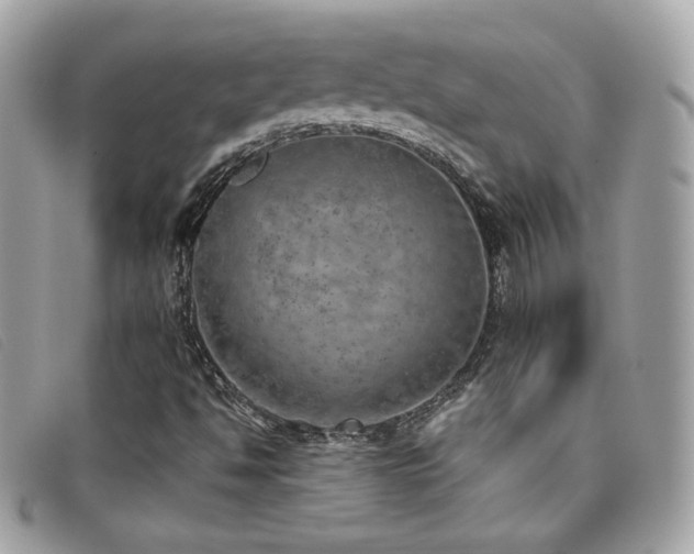 X0000095891494200801111144