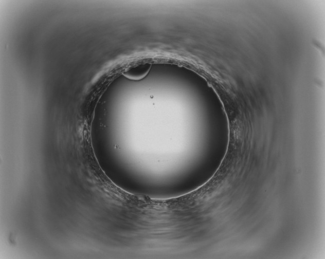 X0000095891495200801111144